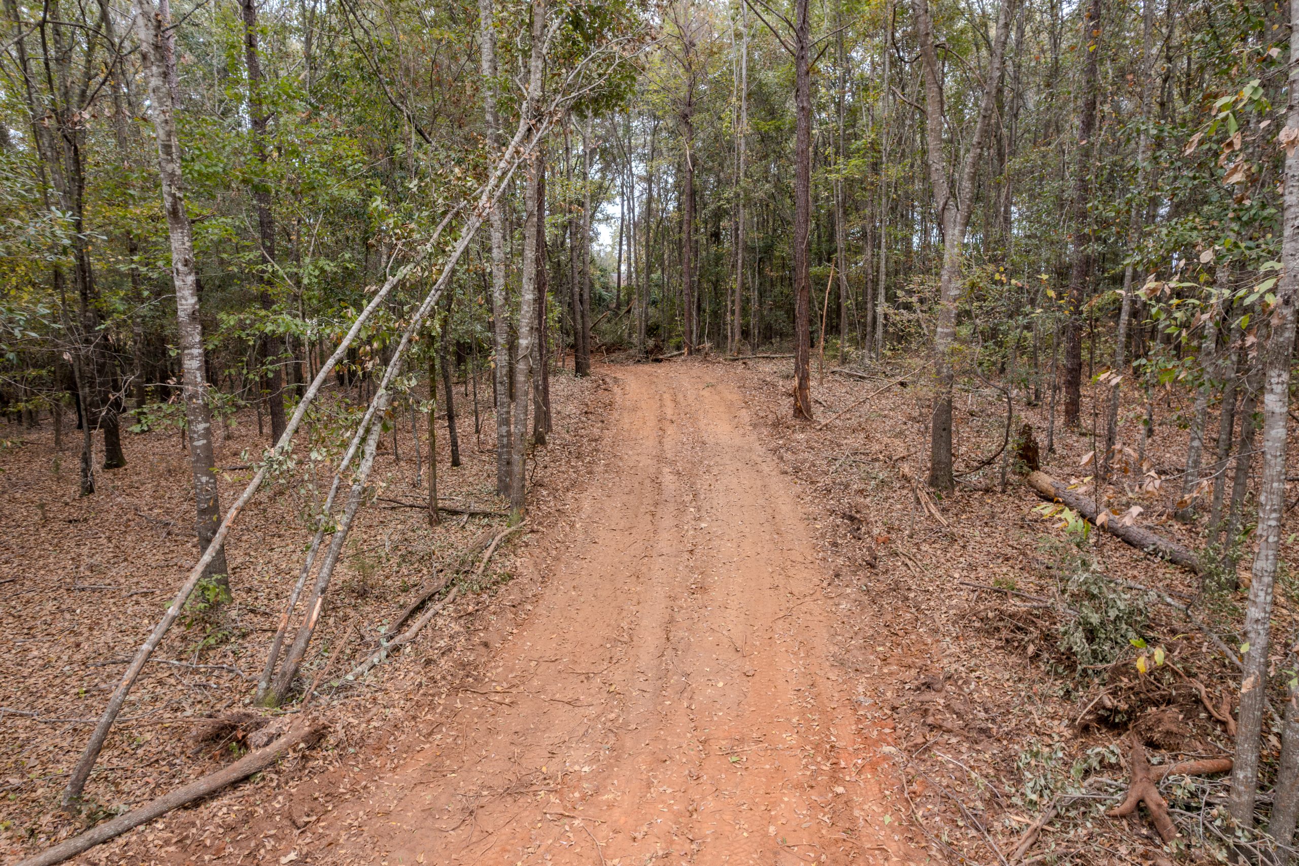 Peach County Recreational Tract Peach County Recreational Tract