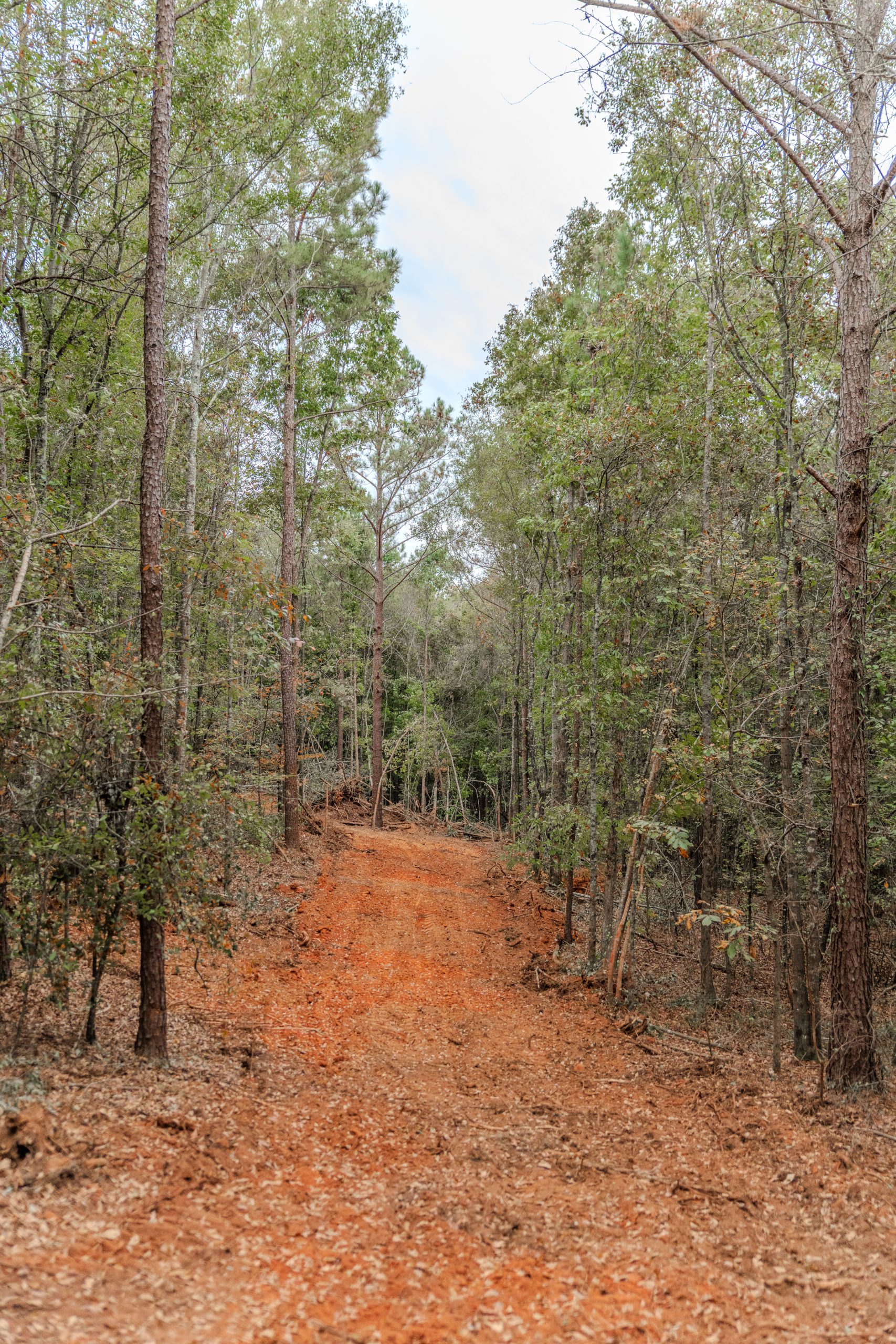 Peach County Recreational Tract Peach County Recreational Tract