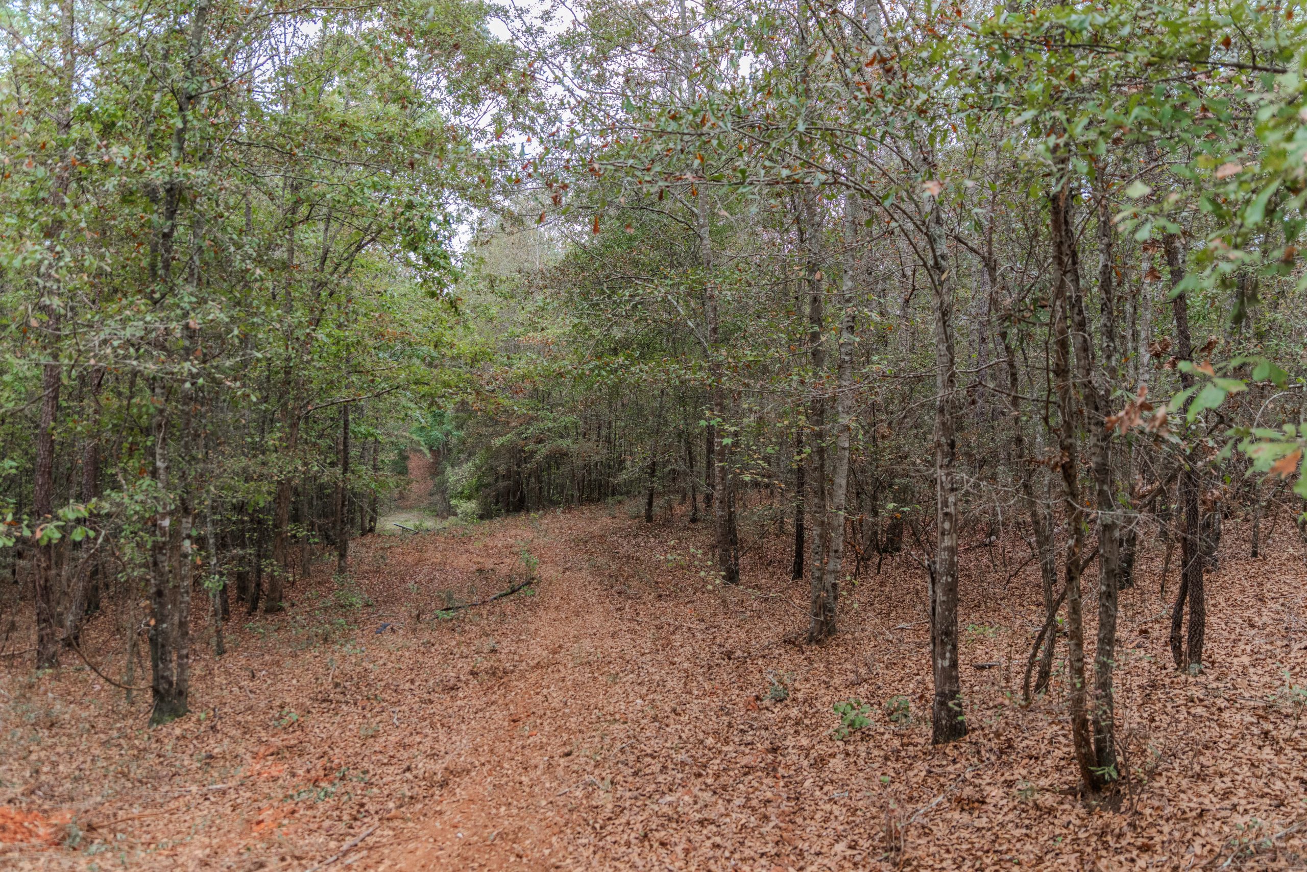 Peach County Recreational Tract Peach County Recreational Tract