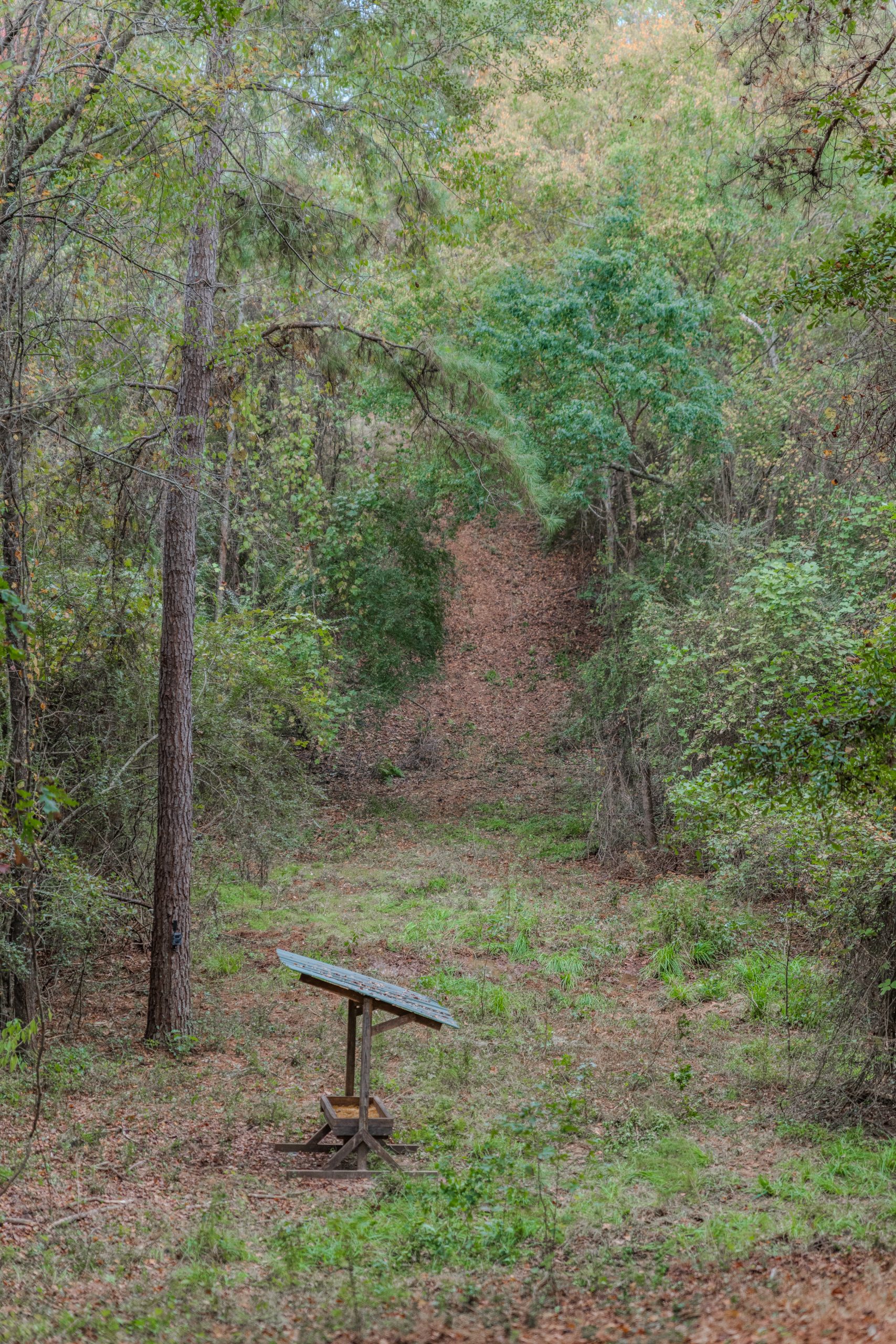 Peach County Recreational Tract Peach County Recreational Tract