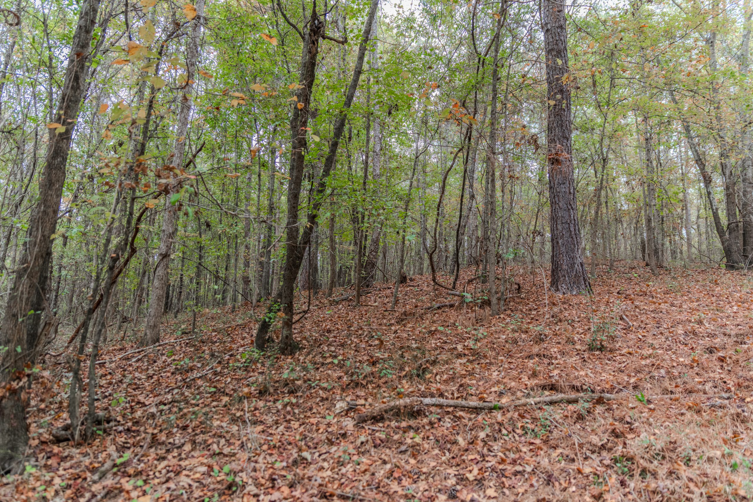 Peach County Recreational Tract Peach County Recreational Tract