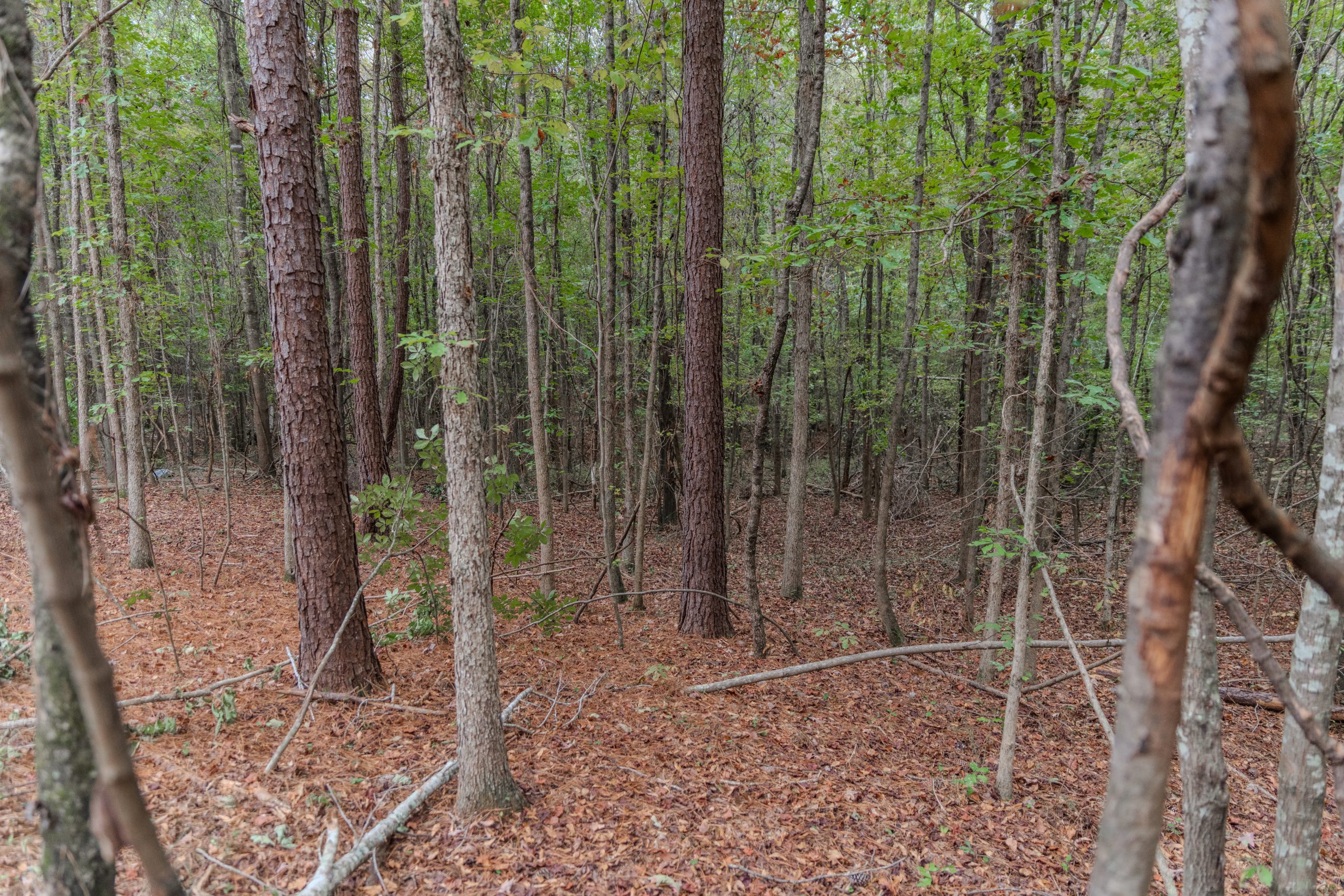 Peach County Recreational Tract Peach County Recreational Tract