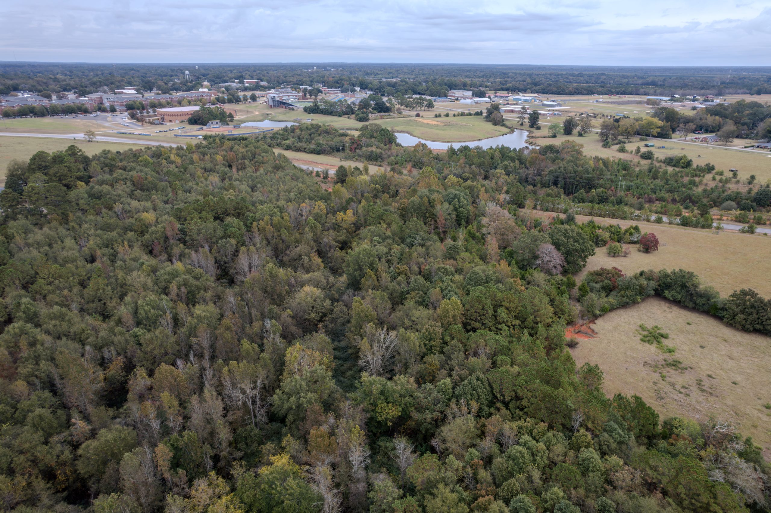 Peach County Recreational Tract Peach County Recreational Tract