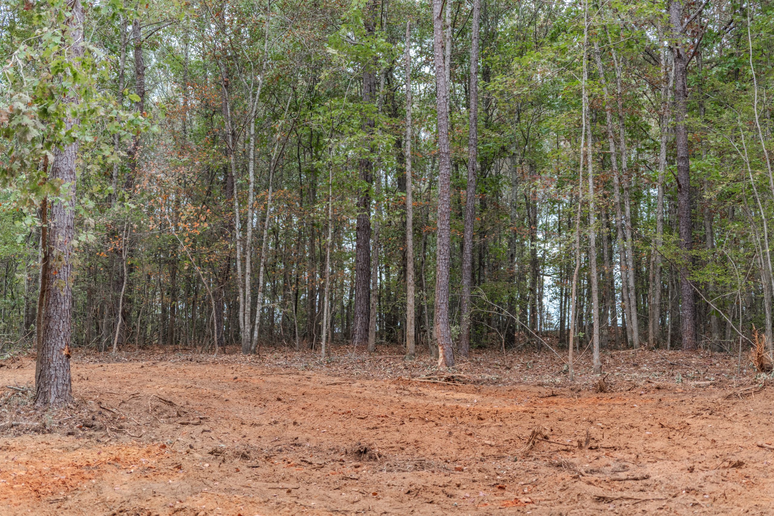 Peach County Recreational Tract Peach County Recreational Tract