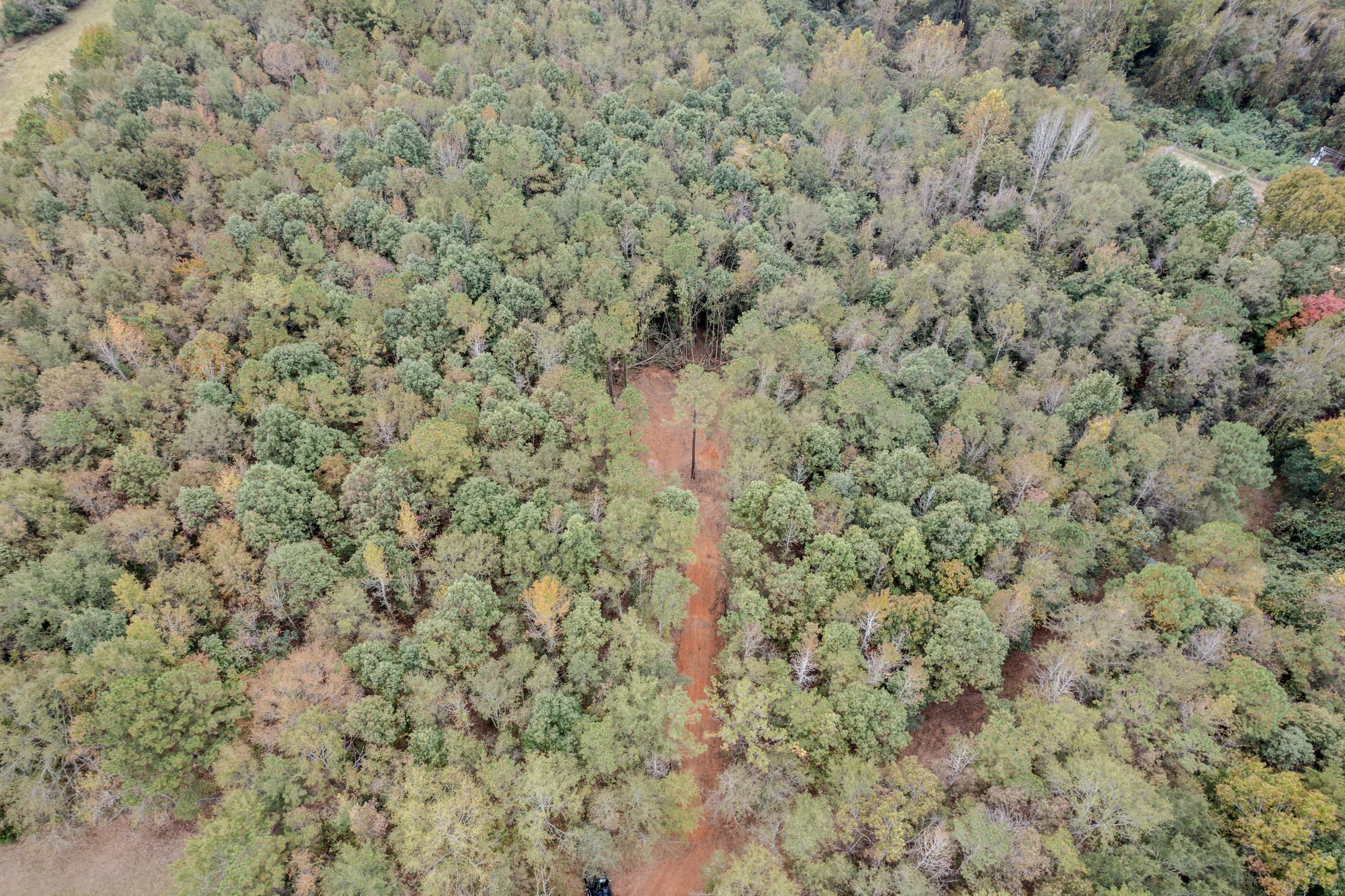 Peach County Recreational Tract Peach County Recreational Tract