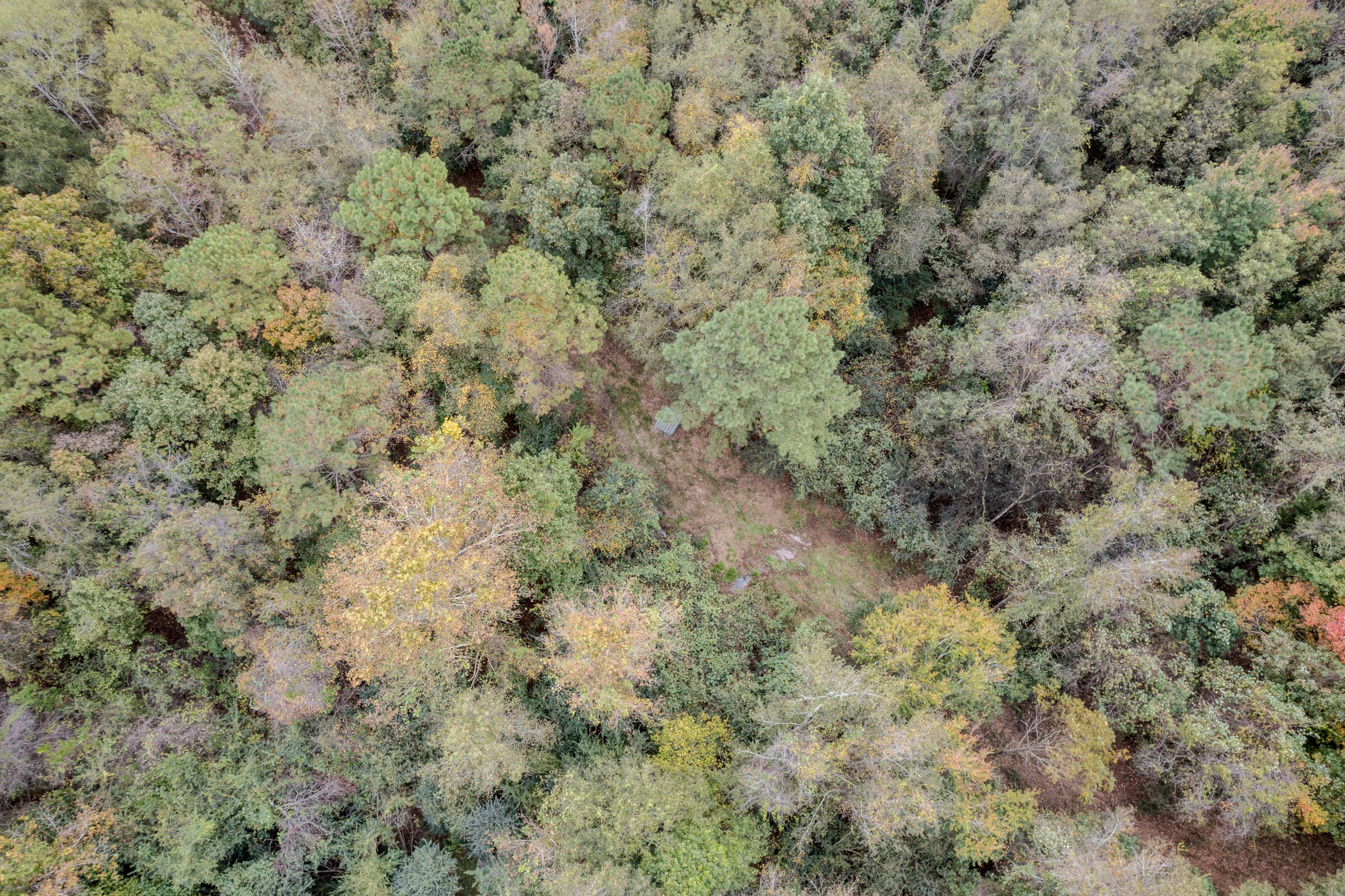 Peach County Recreational Tract Peach County Recreational Tract