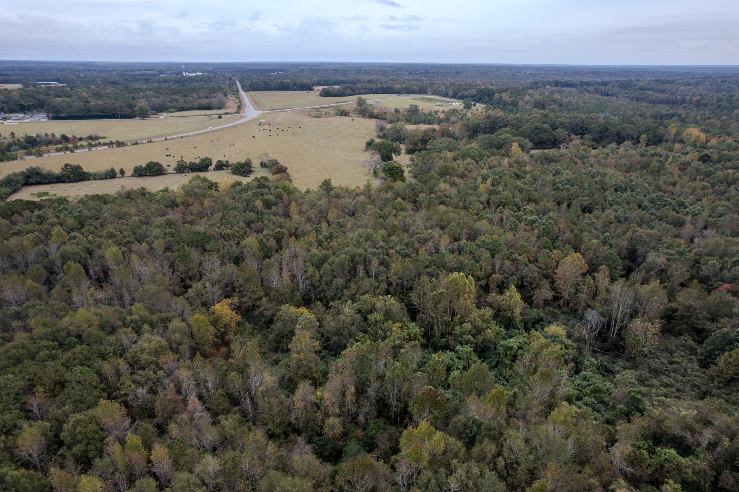Peach County Recreational Tract Peach County Recreational Tract