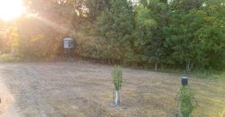 Bird Dawg Farms