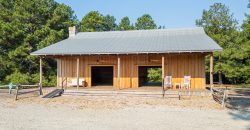Bird Dawg Farms