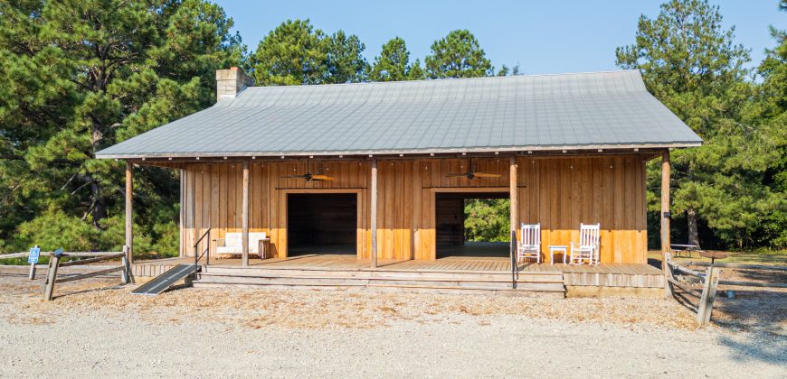 Bird Dawg Farms
