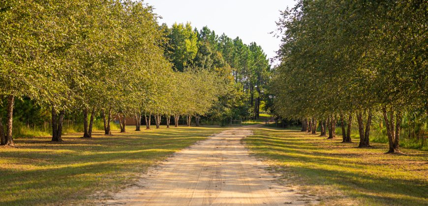 Bird Dawg Farms