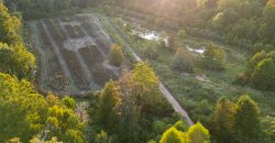 Bird Dawg Farms