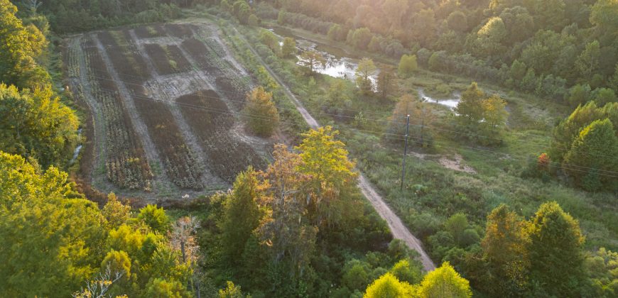 Bird Dawg Farms