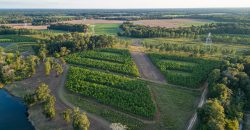 Bird Dawg Farms