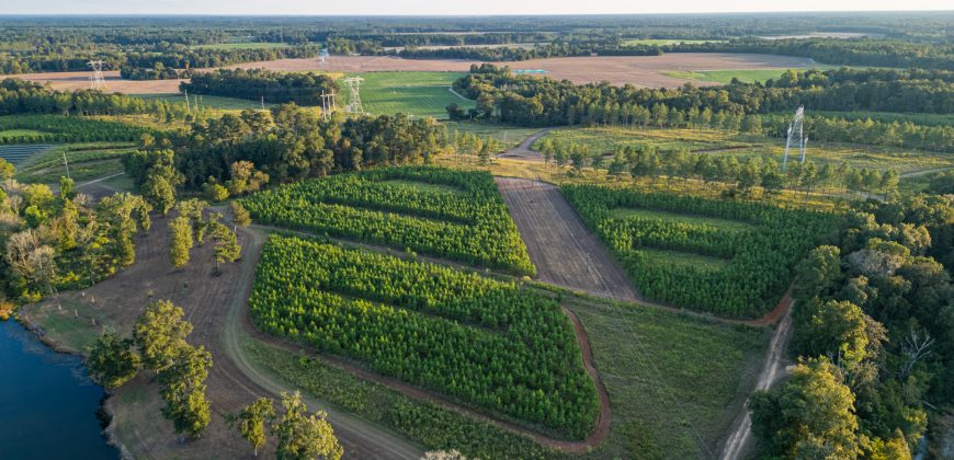 Bird Dawg Farms