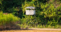 Bird Dawg Farms
