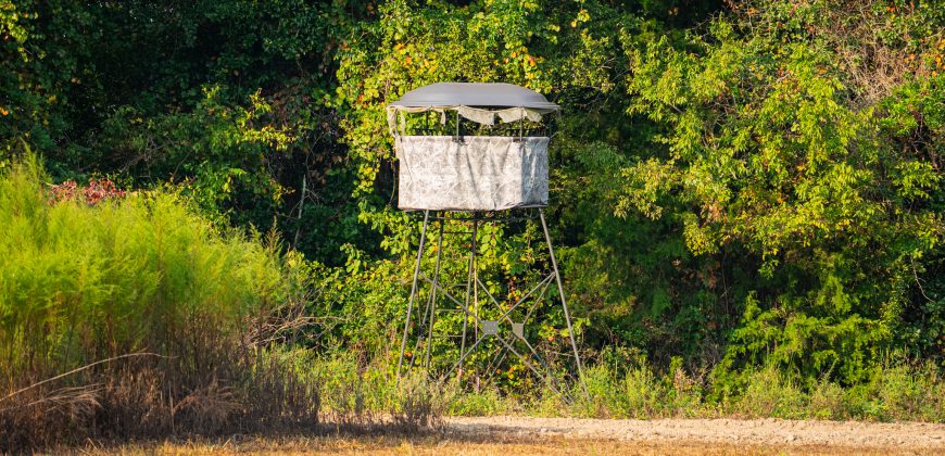 Bird Dawg Farms