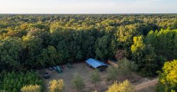 Bird Dawg Farms