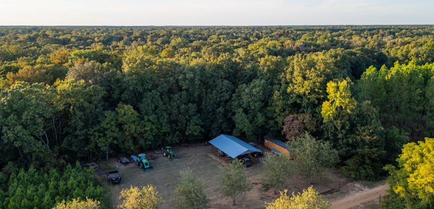 Bird Dawg Farms