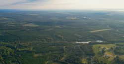 Sumter Wolf Creek Farm
