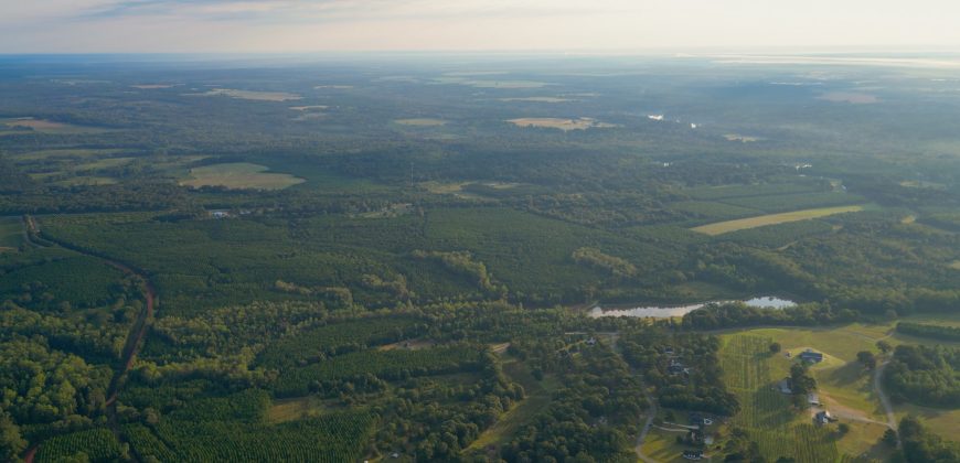 Sumter Wolf Creek Farm