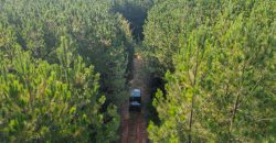 Sumter Wolf Creek Farm