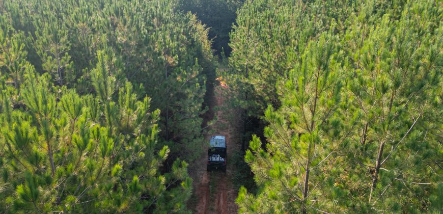 Sumter Wolf Creek Farm