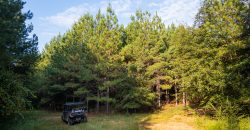 Sumter Wolf Creek Farm