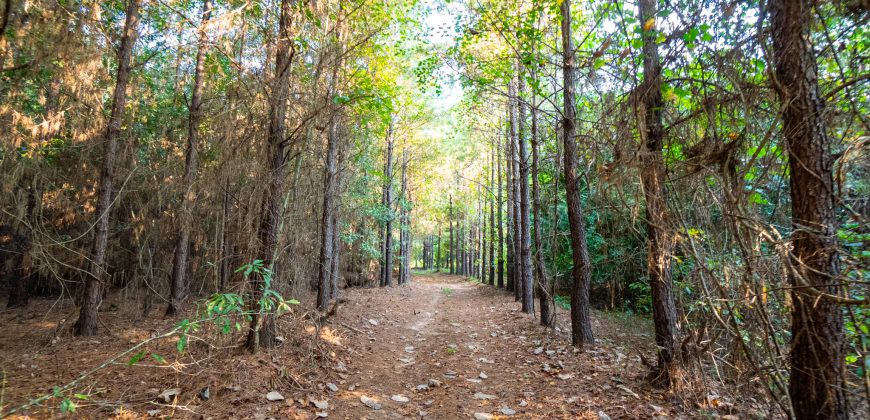 Sumter Wolf Creek Farm