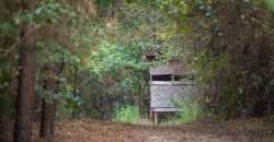 Sumter Wolf Creek Farm