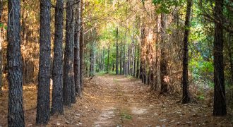 Sumter Wolf Creek Farm