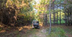 Sumter Wolf Creek Farm