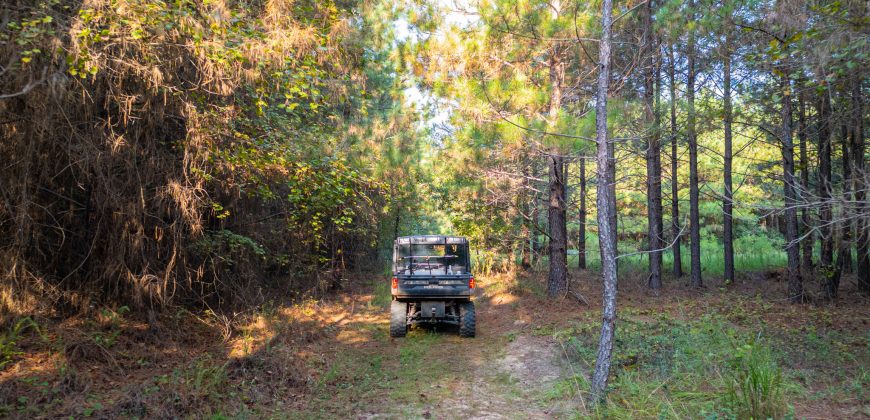 Sumter Wolf Creek Farm