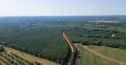 Sumter Wolf Creek Farm