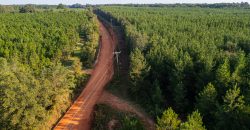 Sumter Wolf Creek Farm