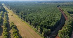 Sumter Wolf Creek Farm