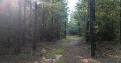 Sumter Wolf Creek Farm