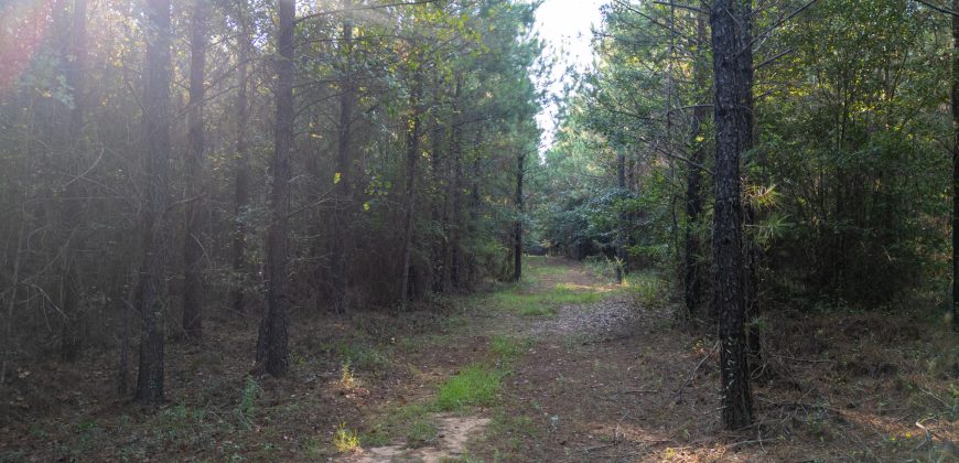 Sumter Wolf Creek Farm