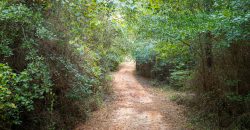Sumter Wolf Creek Farm