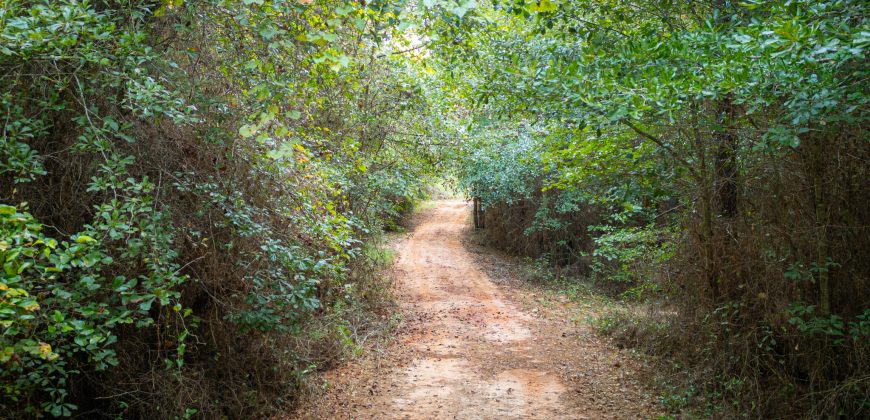 Sumter Wolf Creek Farm