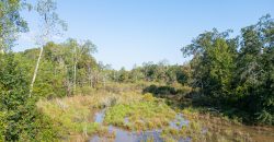 Sumter Wolf Creek Farm