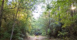 Sumter Wolf Creek Farm