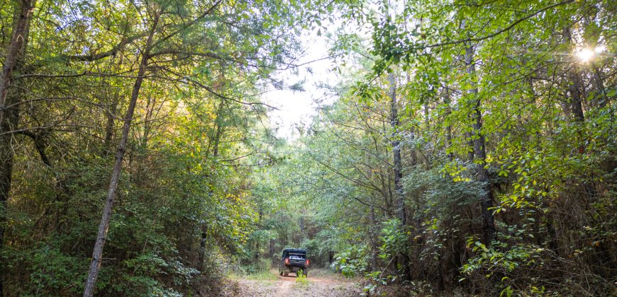 Sumter Wolf Creek Farm