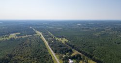Sumter Wolf Creek Farm