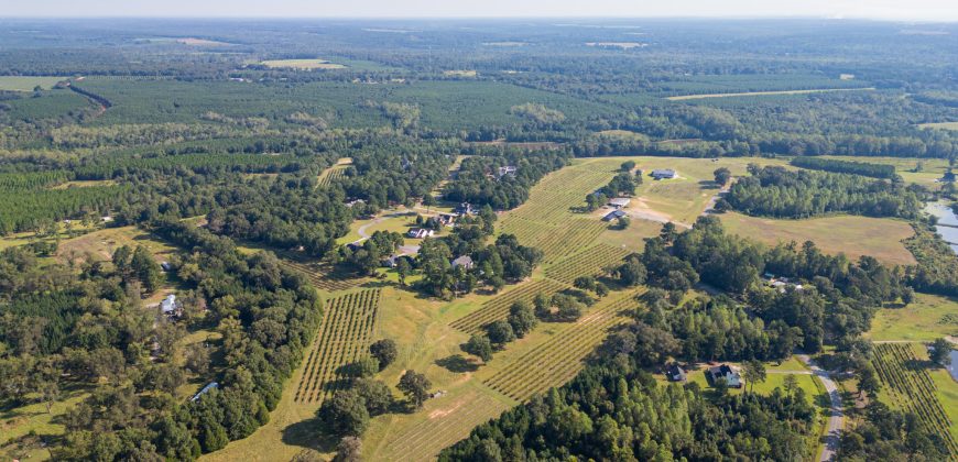 Sumter Wolf Creek Farm