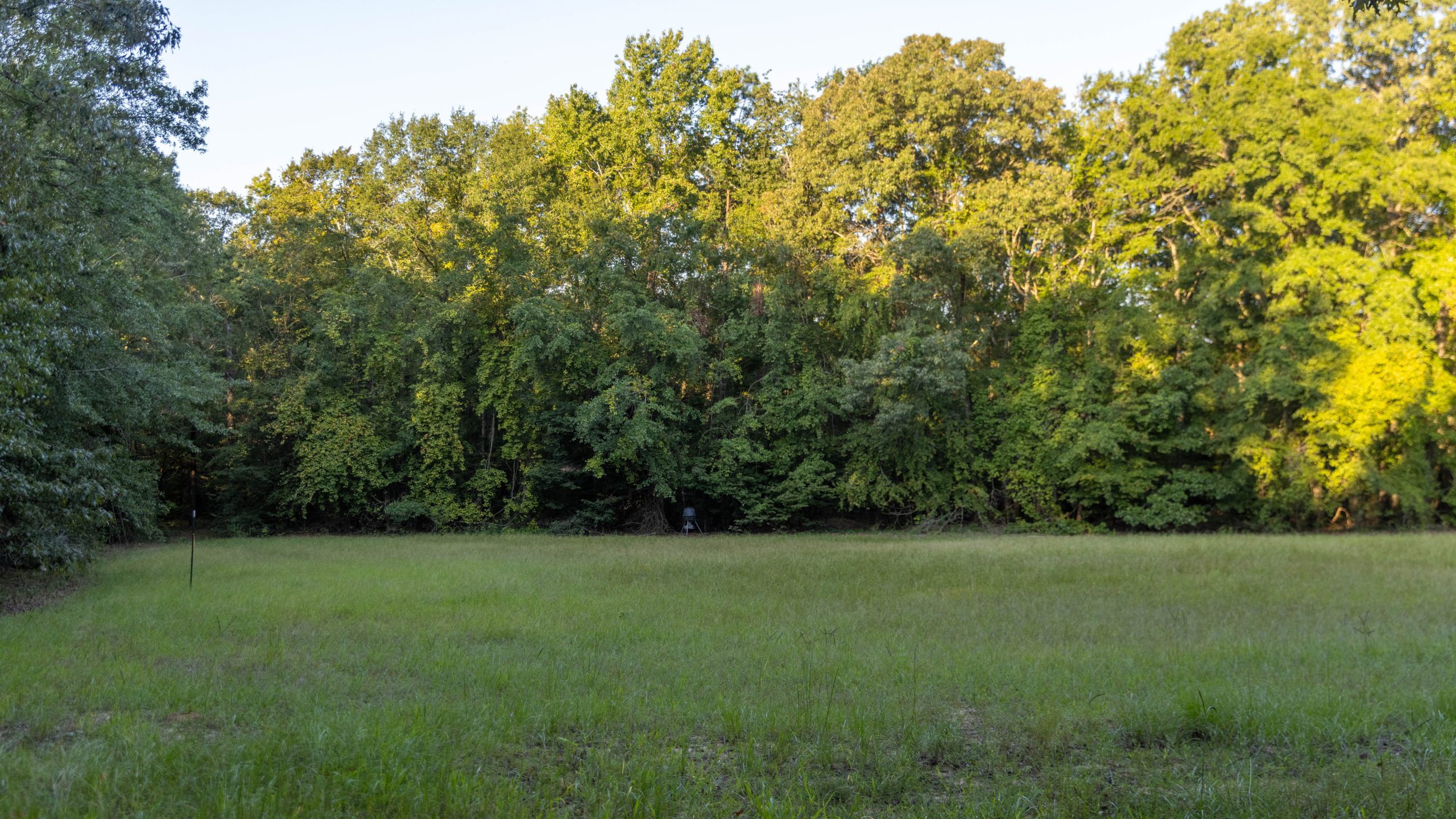 Jackson Lake Plantation Jackson Lake Plantation