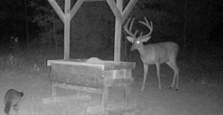 Beaver Creek Hunting Tract