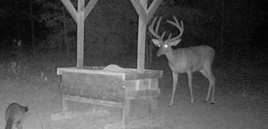 Beaver Creek Hunting Tract