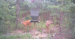 Beaver Creek Hunting Tract