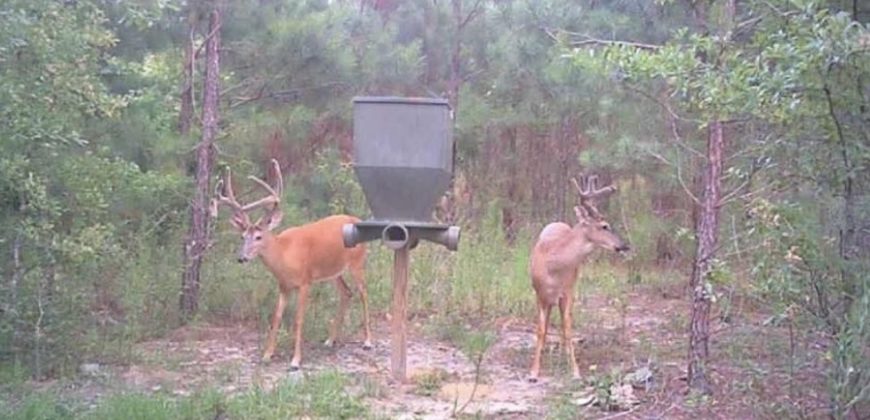 Beaver Creek Hunting Tract